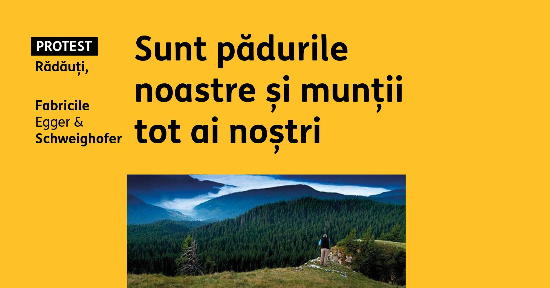A.U.R. PROTESTEAZĂ ÎMPOTRIVA MAFIEI LEMNULUI