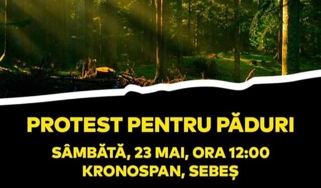 PĂDURILE ROMÂNIEI NECESITĂ STARE DE ALERTĂ PERMANENTĂ