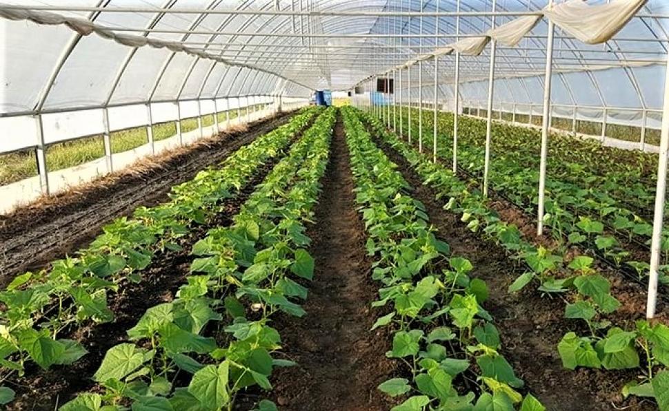 AUR este alături de fermierii României