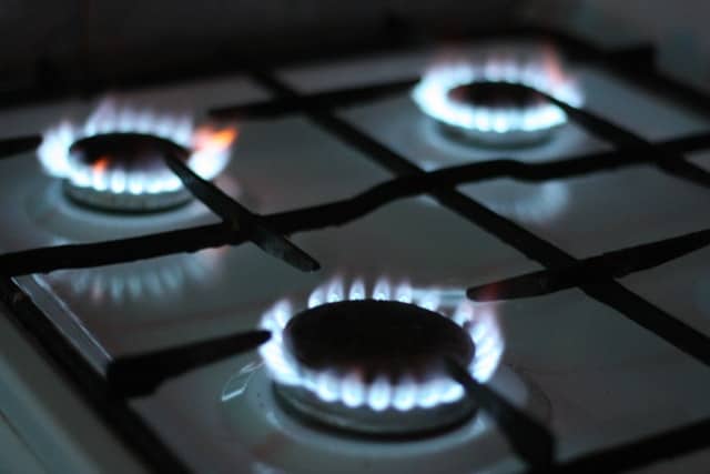 AUR cere renegocierea Pactului Verde (Green Deal) de guvernul român cu Comisia Europeană