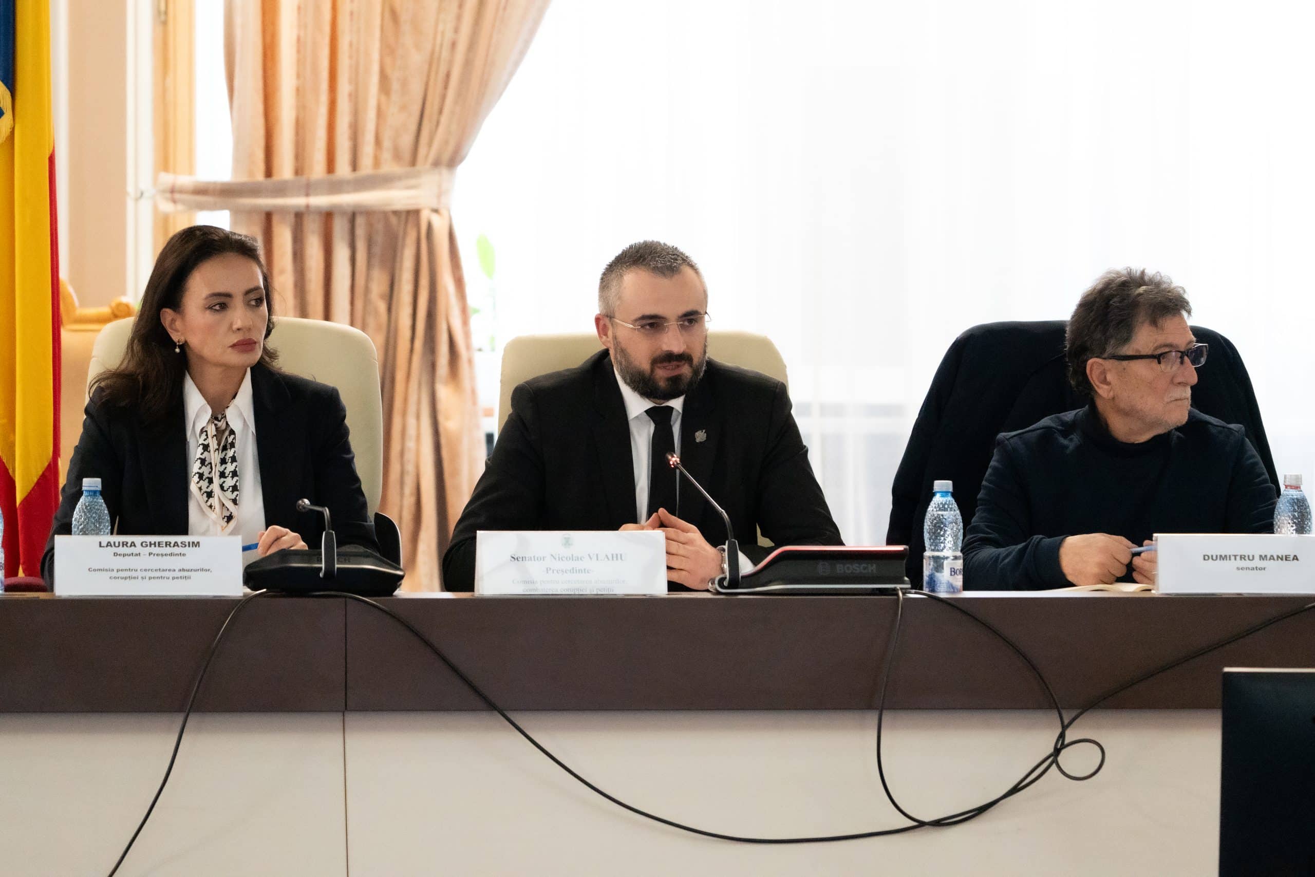 Peste nouă milioane de voturi anulate, nicio asumare: bilanțul celor cinci zile de audieri publice