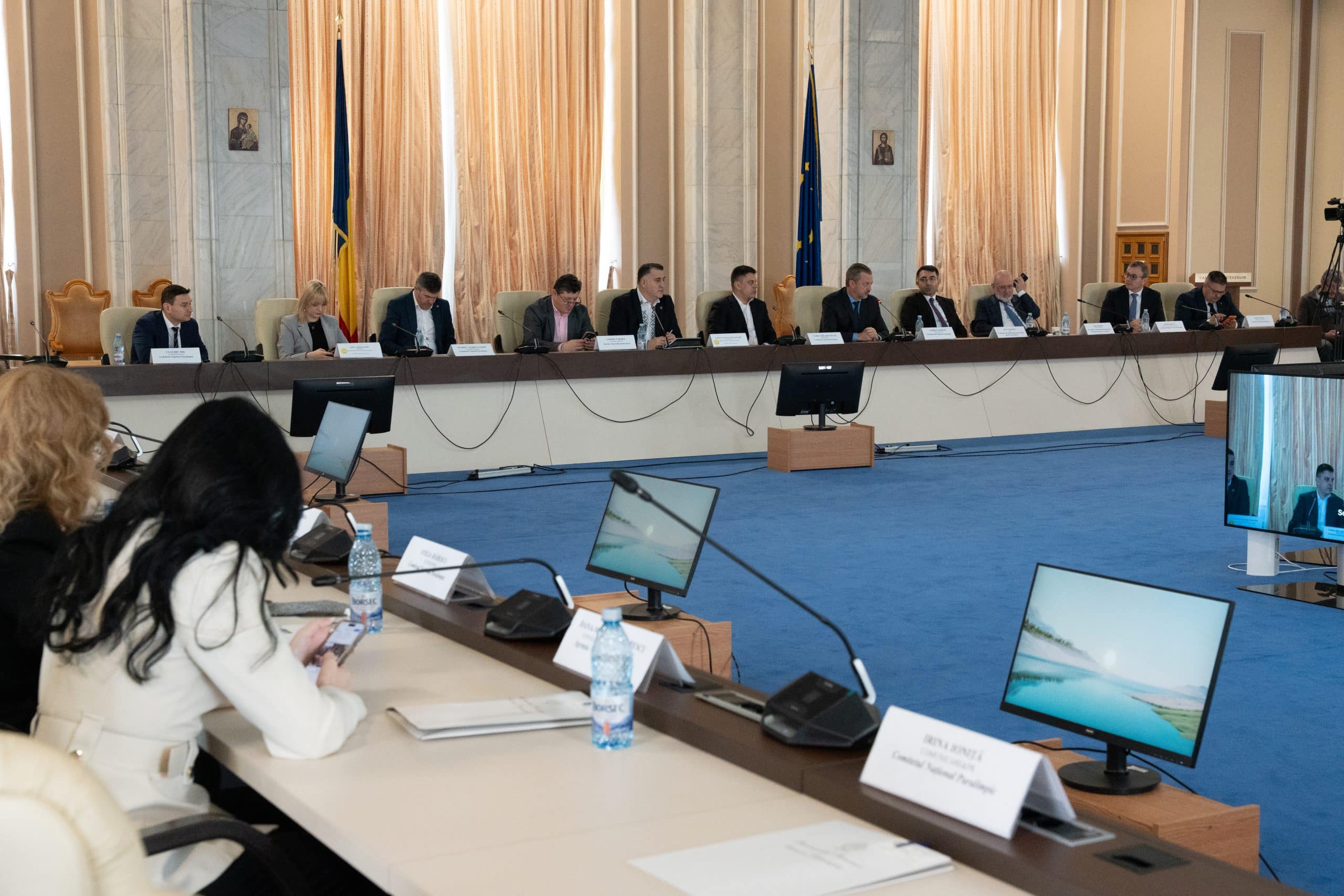Strategie națională pentru sportul paralimpic: viziune, reformă legislativă și obiectiv de performanță, dezbătute în Parlament