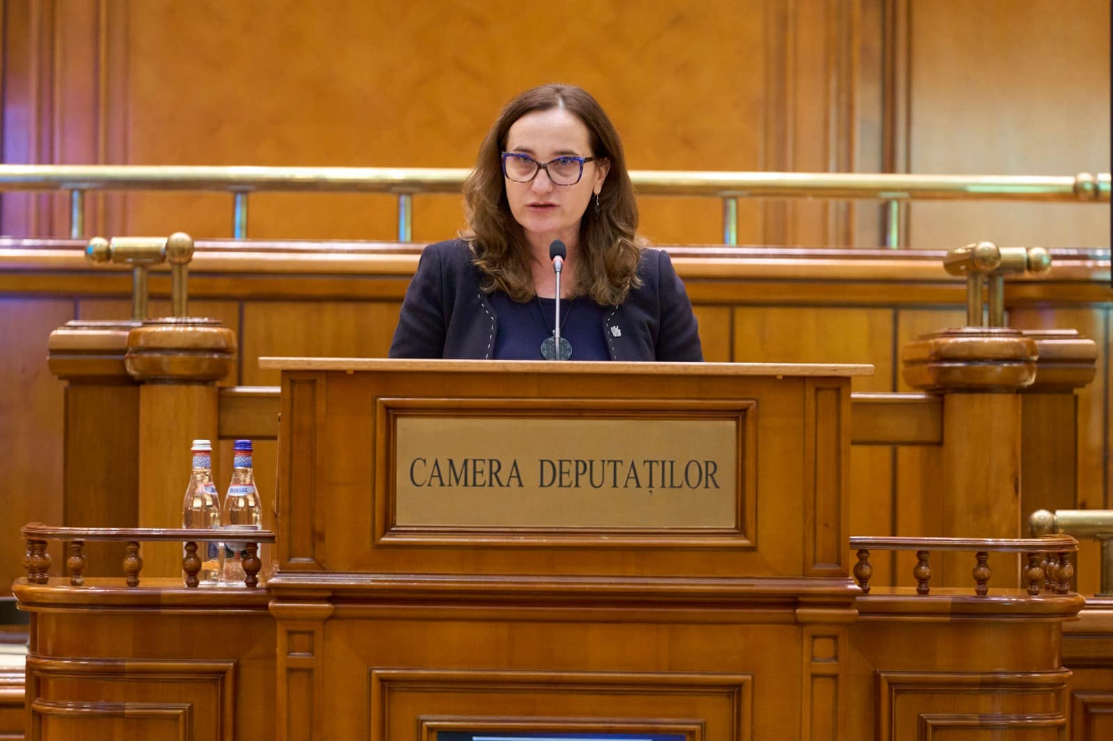 Elena DOBOŞ – Întrebare –  Pierderile României pe piața energiei: export ieftin, import scump și lipsa stocării