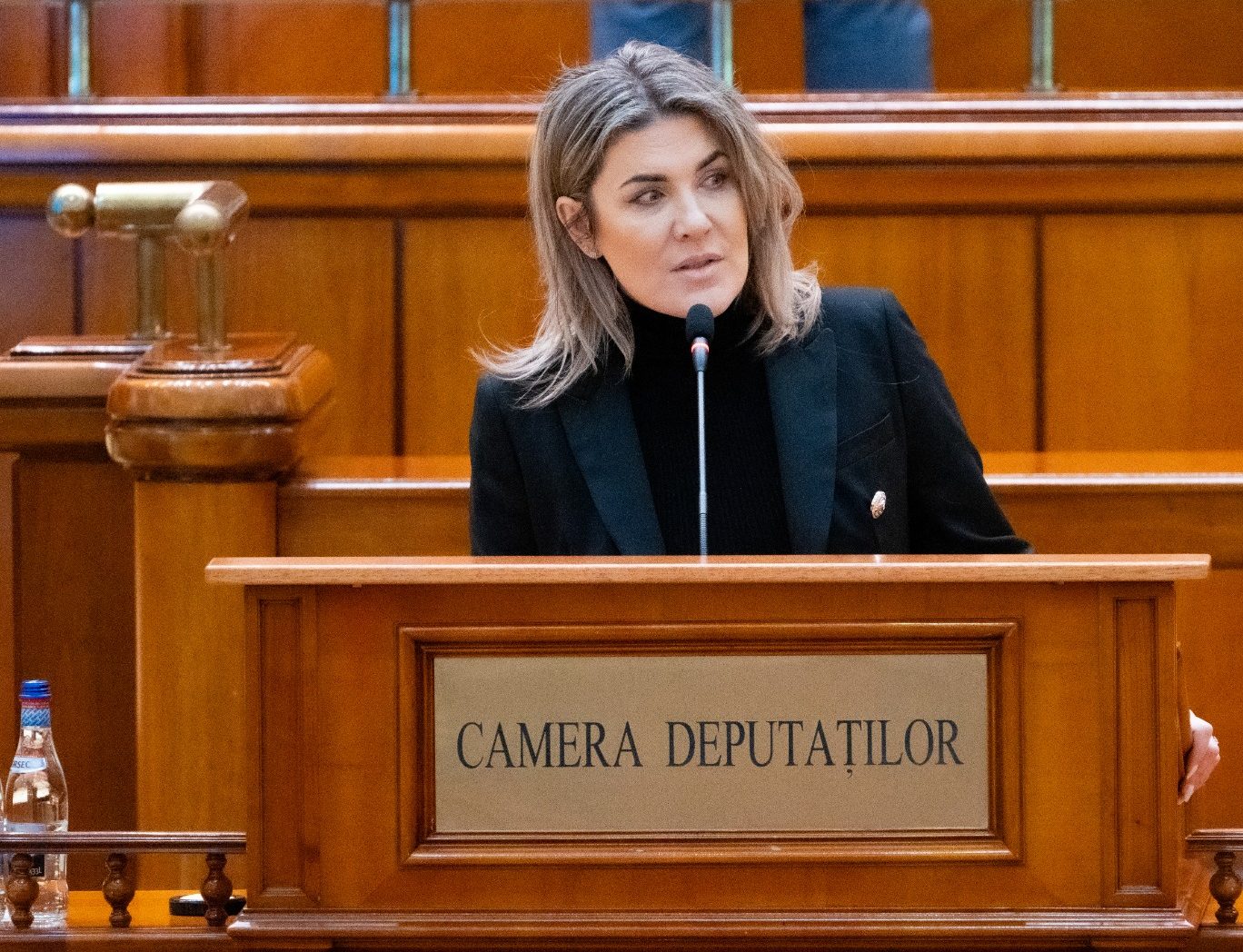 Gianina ȘERBAN – Întrebare – Declinul accelerat al IMM-urilor și impactul asupra economiei naționale