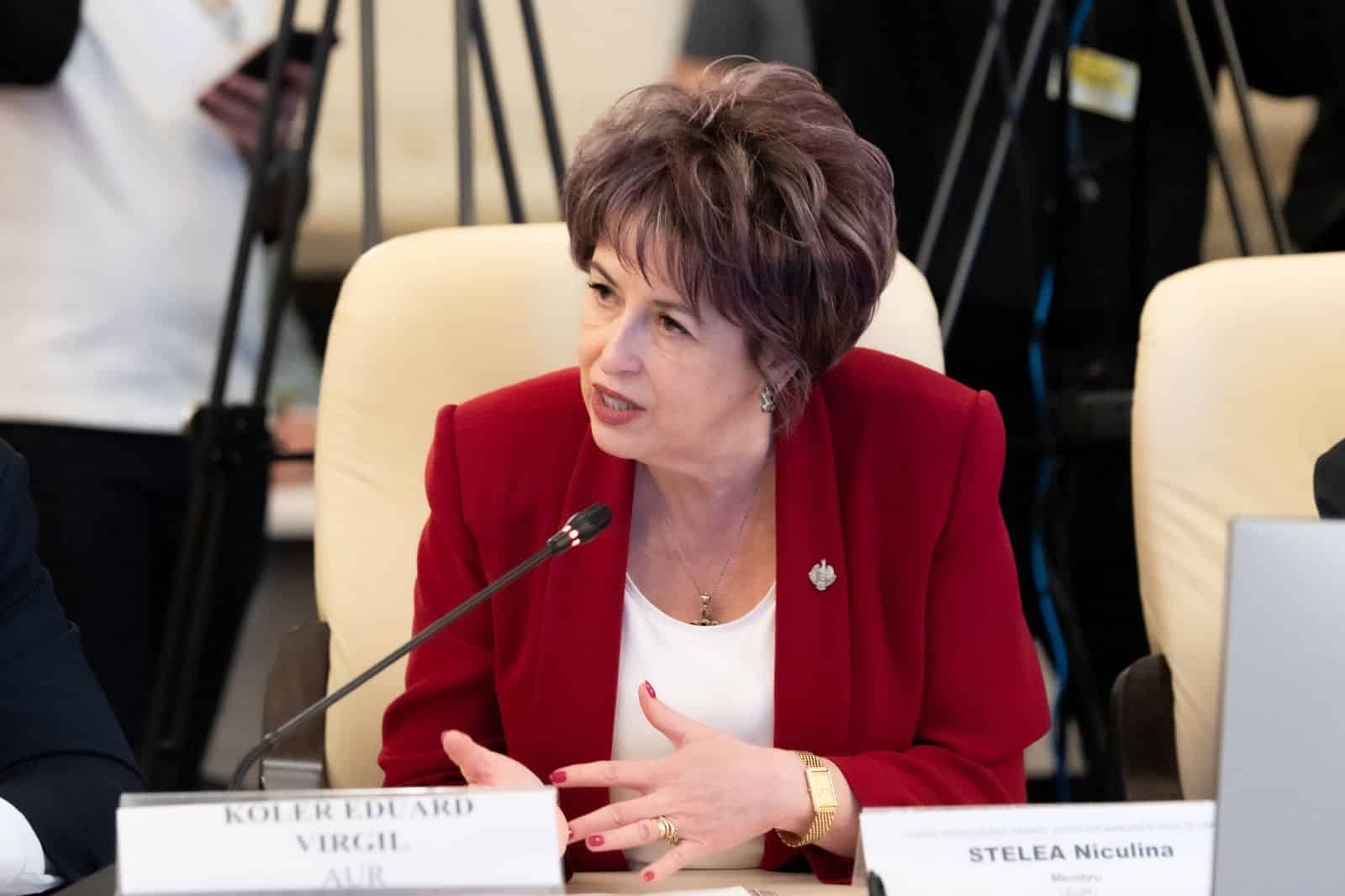 Stelea Niculina – Întrebare – Stadiul implementării schemei de sprijin pentru producția de biocombustibili avansați, aprobată de Comisia Europeană în octombrie 2024
