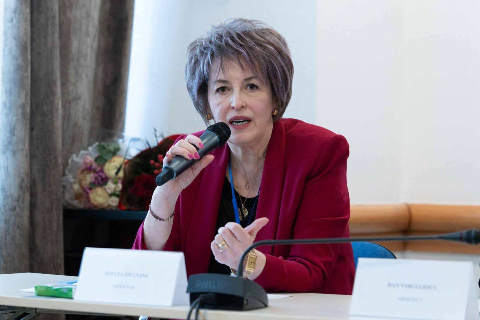 Stelea Niculina – Declarație politică – Efectul Bolojan: Criza se adâncește. Trei trimestre consecutive de scădere a economiei