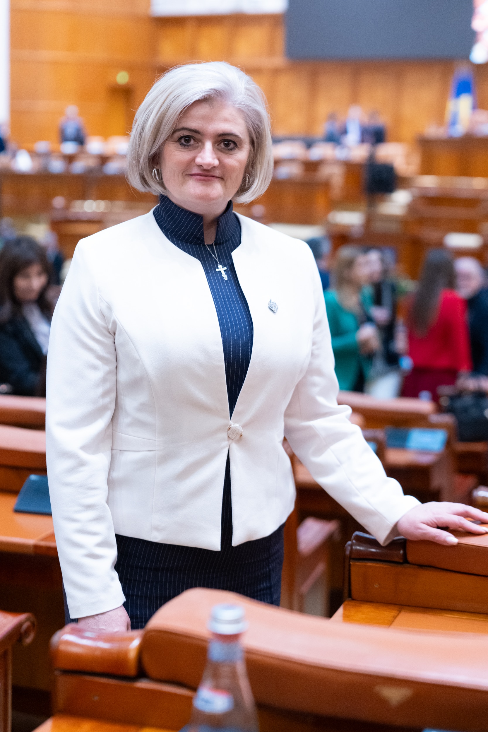 Păucean-Fernandes Luminița – Întrebare – Speculă cu avize de 80.000 MW și riscul de colaps al Rețelei Electrice de Transport